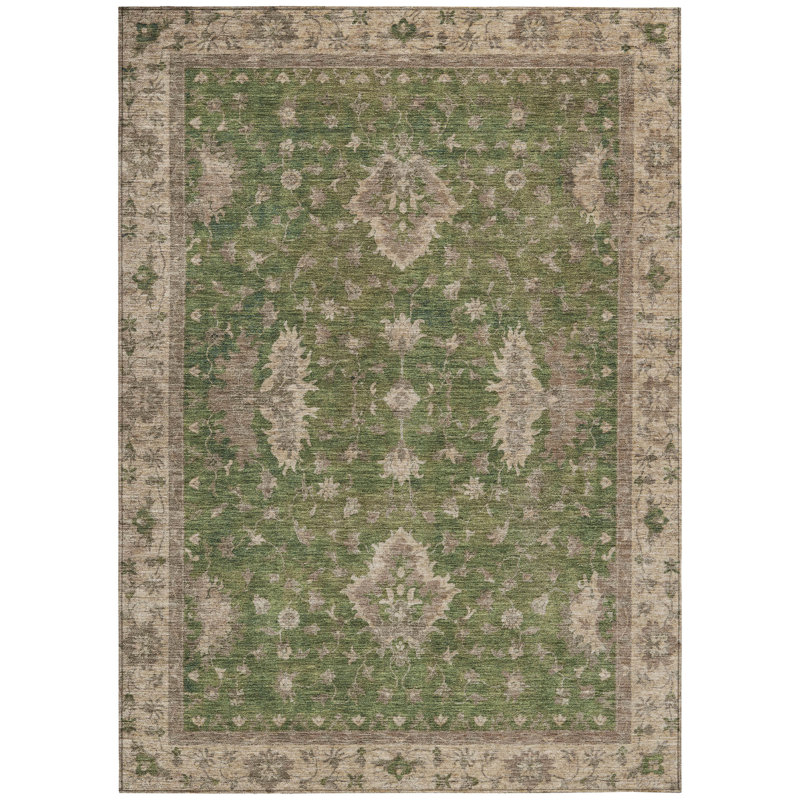 Machine Washable Indoor/Outdoor Xhevrie Aloe Rug, Rectangle 2'6" x 3'10"