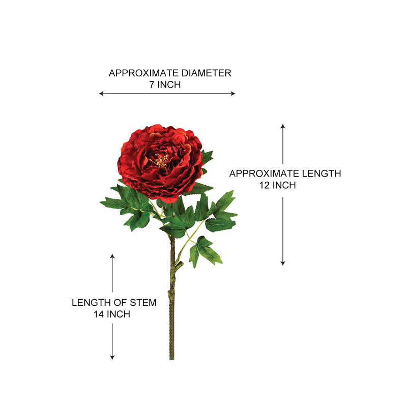 Tige de pivoine Primrue, paquet de 12, Rouge