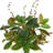 Lewistown Magnolia Floral Arrangement in Vase