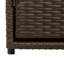 Garden Storage Cabinet 110X55x60.5 Cm Poly Rattan-2141696301