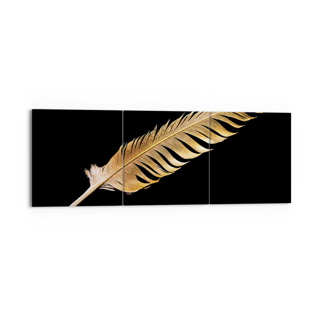 3-tlg. Leinwandbilder-Set Golden Feather Black