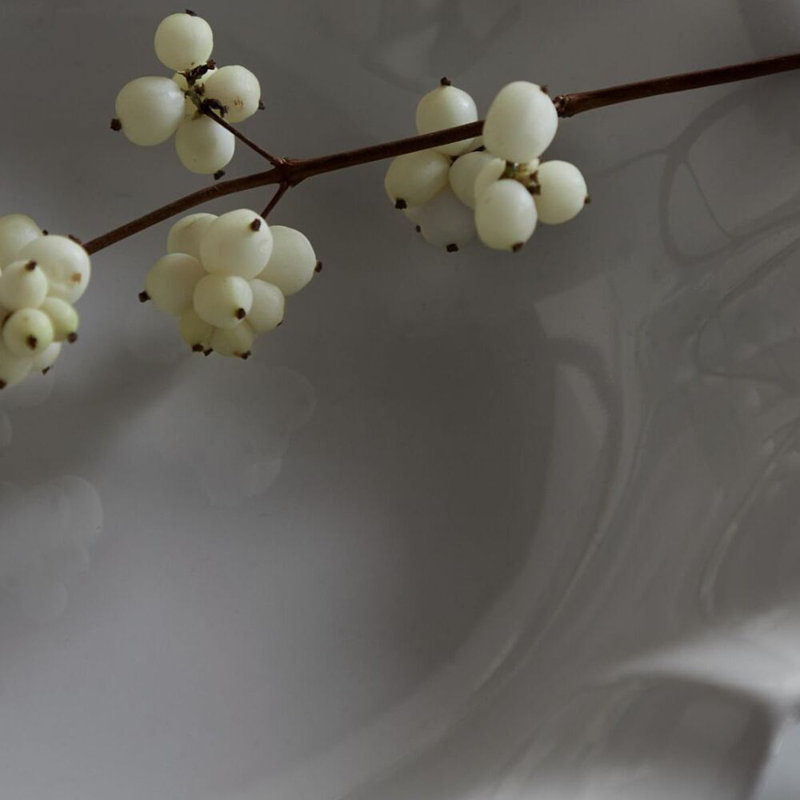 Rosa Fine Stoneware Dinnerware Set