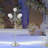 49.21'' H Floor Candelabra