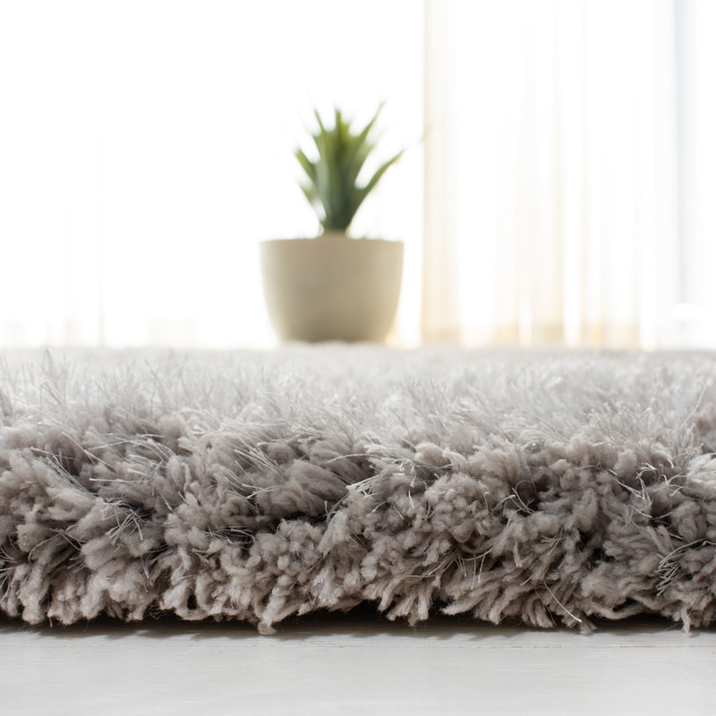 Tapis argenté à poils longs Franklynn, Rectangle 3 pi x 5 pi