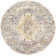 Flatiron Oriental Indoor Rug