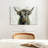 Brampt Highland Cow Horizontal-107710218