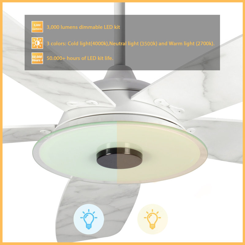 Striker 52'' Ceiling Fan with LED Lights