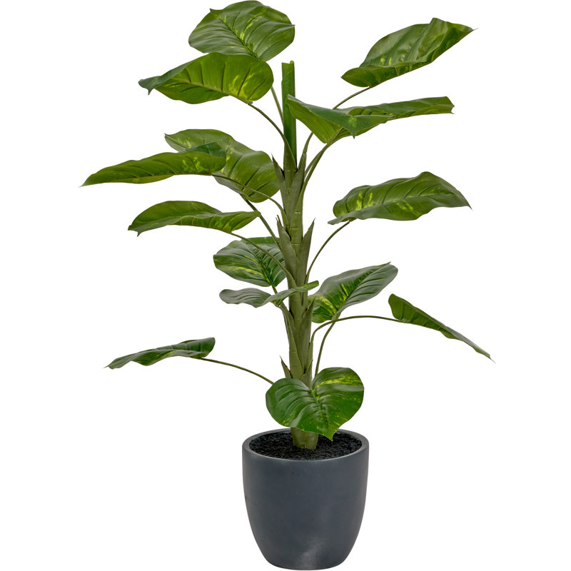 120cm Faux Plant in Cement Pot