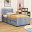 Lit plateforme simple en bois avec lit gigogne Sterns-791209669