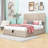 Upholstered Platform Bed with a Hydraulic Storage System-794724900-794724902