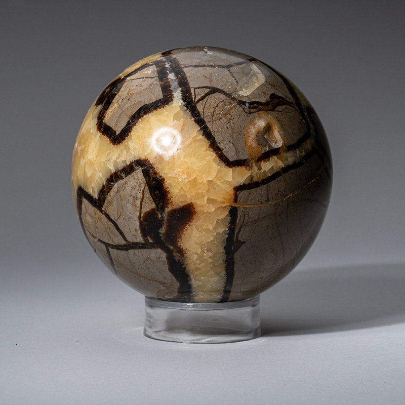 Genuine Polished Septarian (2") Sphere from Madagascar, 3.5" H x 3.5" W x 3.5" D, Yellow/ Gray