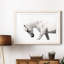 Neutral Stallion - Photographie avec cadre photo-2068235370-2068235371