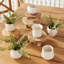 DEZIE MINI POTS-1938101428