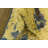Mullins Beige Rug