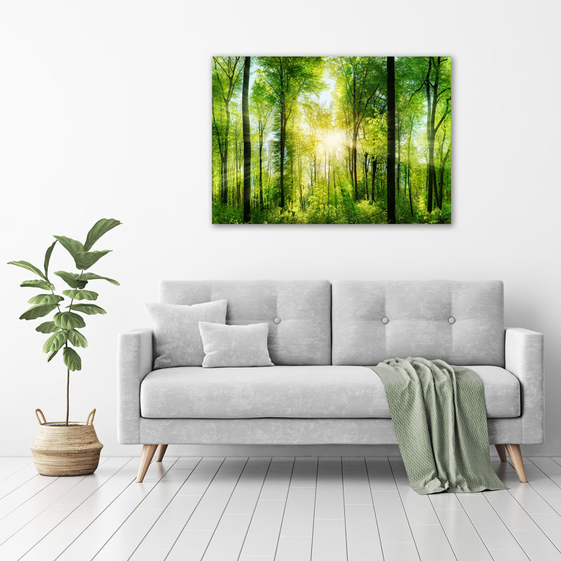 Forest In The Sun - Unframed Art Prints on Glass