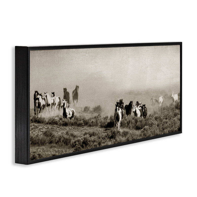 «Dust Up Horse Stampede», estampe numérique, design par Danita Delimont, H 10 po x l 24 po, Giclée encadrée noir minuit