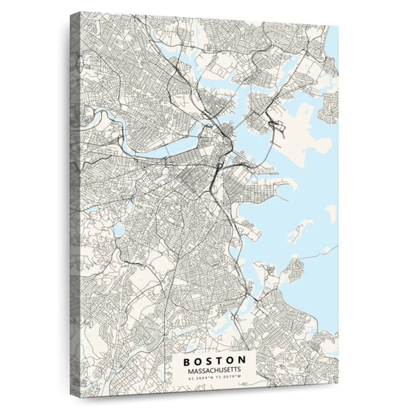 Carte de la ville de Aliaz à Boston, H 48 po x l 32 po