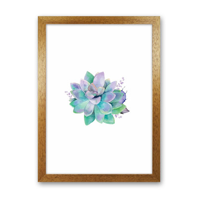 Aqua Succulent - Print