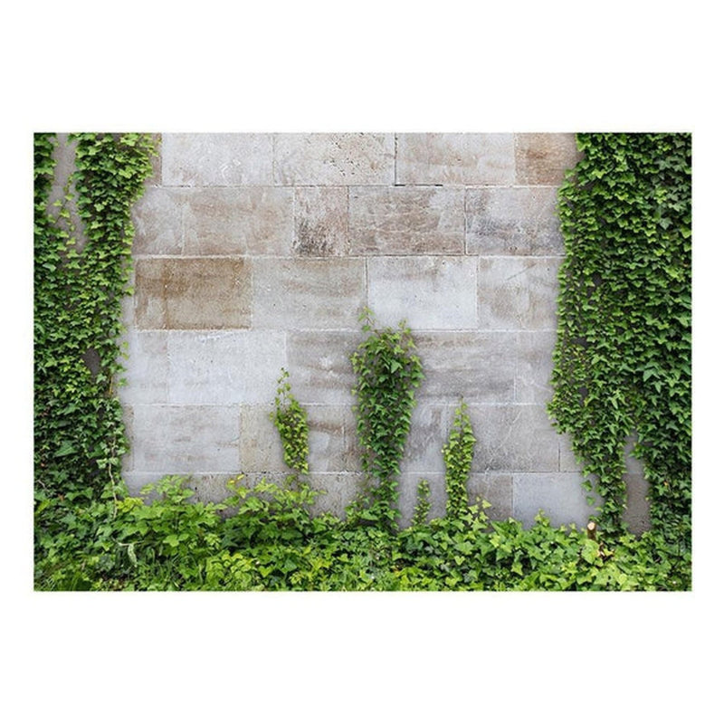 Murale Le jardin oublié, L 41 po x l 59 po