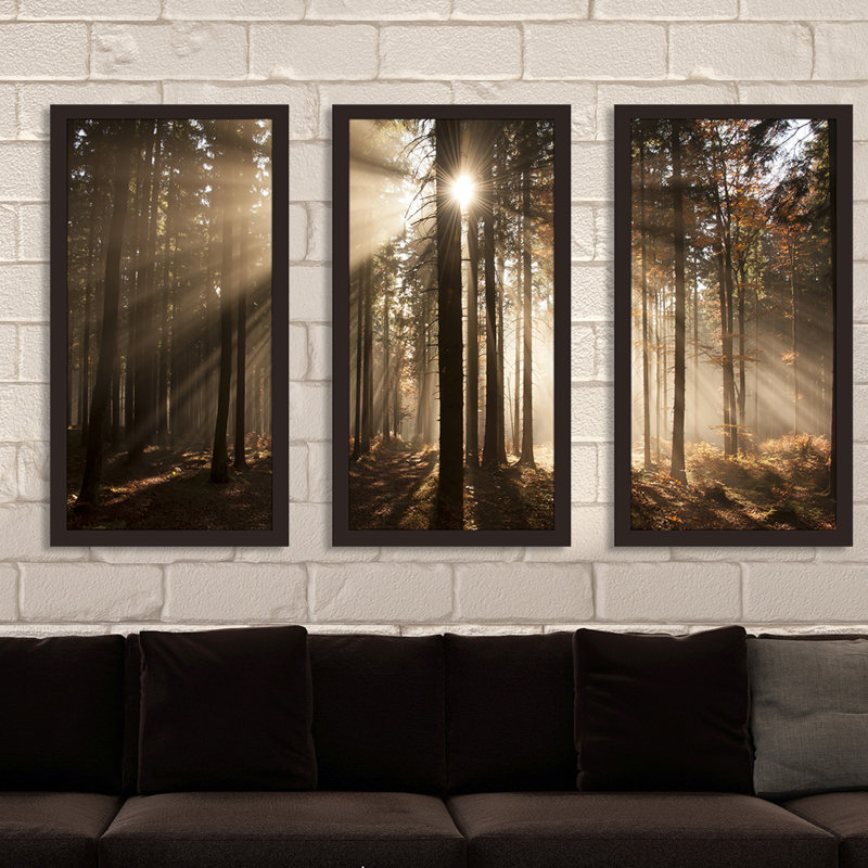 Autumn Morning in Forest - Ensemble de 3 reproductions de photos encadrées, H 33,5 po x l 52,5 po x P 1 po