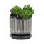 Ensemble de 2 pots Saucer