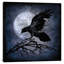 Corbeau par Martin Wagner - estampe numérique sur toile tendue avec châssis-20922527-73091841-73091842