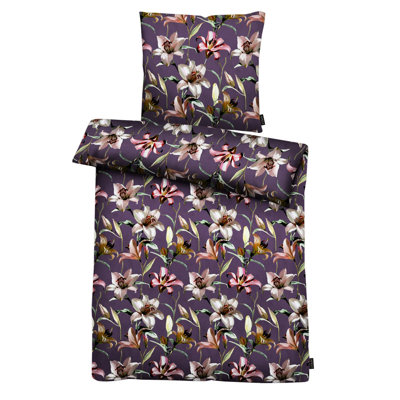 Daisylynn Purple/Pink
