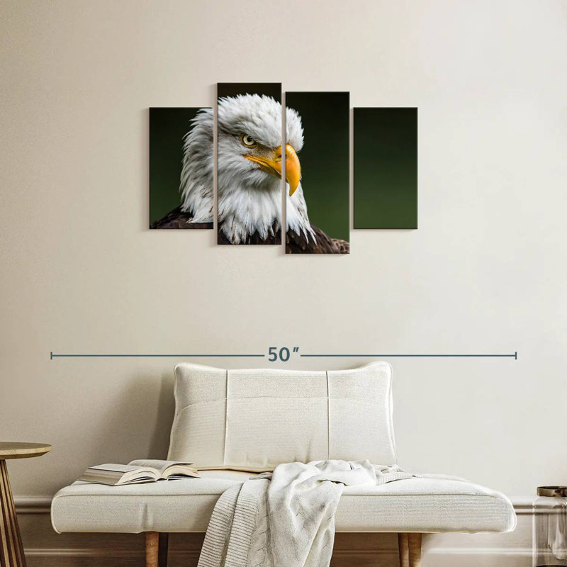 Brampt Bald Eagle Stare