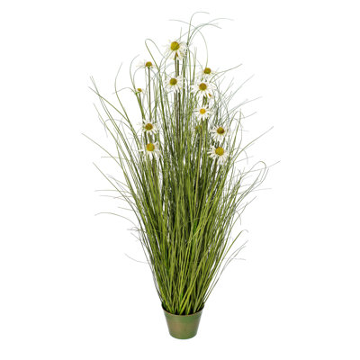 Herbe verte et marguerites artificielles en pot.