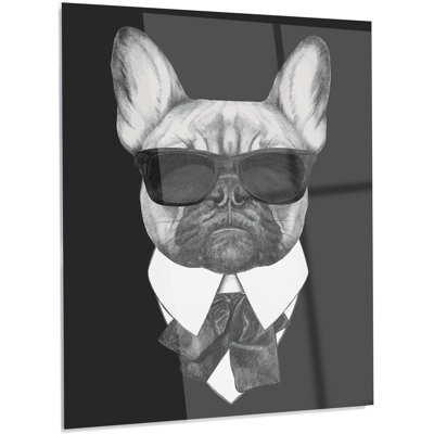 " French Bulldog Fashion Portrait "