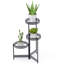 Defoe Plant Stand