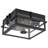 2-light Black Motion Sensing Dusk To Dawn Outdoor Flush Mount Ceiling Light