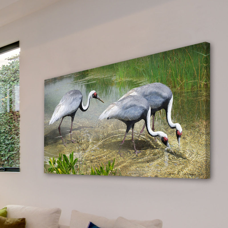White Naped Cranes 1 Piece Wrapped Canvas Wall Art, 46 cm H x 91 cm W