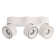 LED Ceiling Spotlight