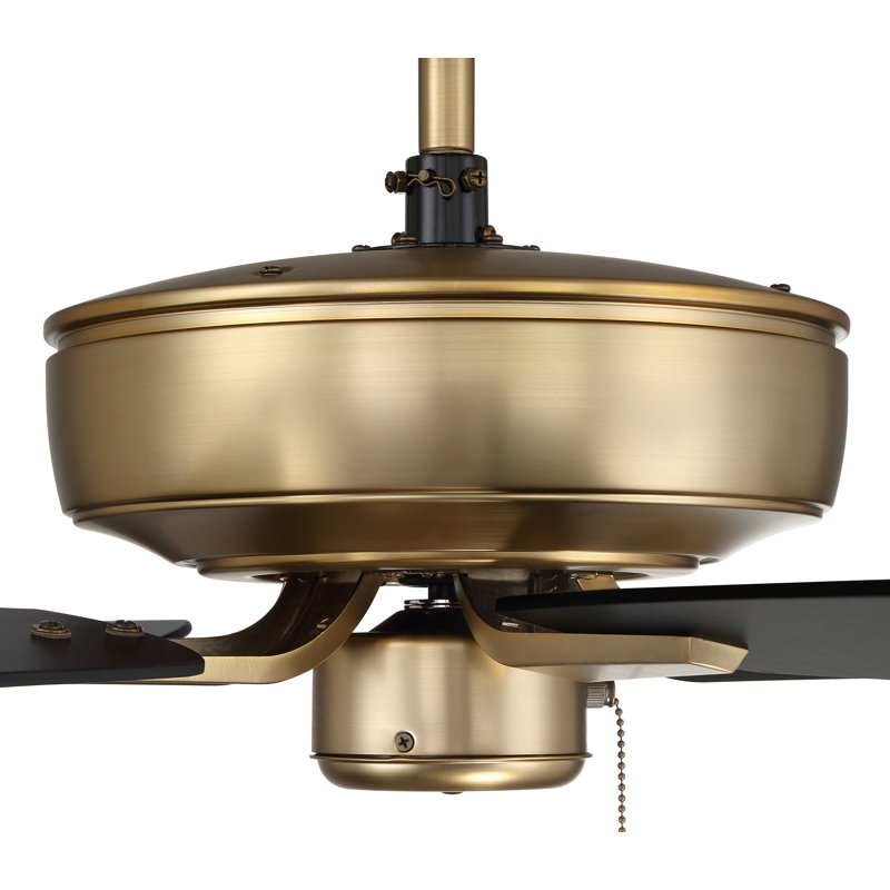 Satin Brass 52" Ceiling Fan with Black Walnut Blades