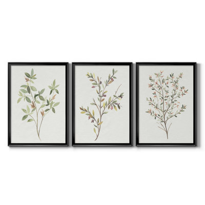 " Single Sprig I " 3 - Pieces Painting Print