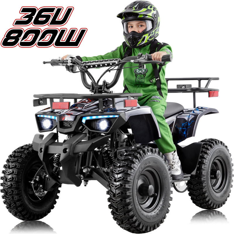 Goow Hill-Shazodza 36V Kids Electric UTV - 800W All-Terrain with Key Start & Triple Disc Brakes, Black/Gray