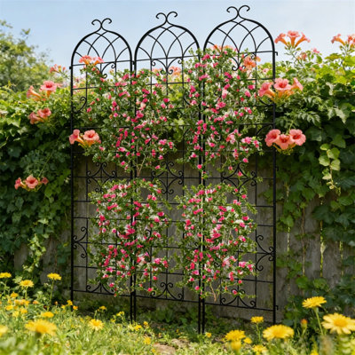 Paquet de 3 treillis de jardin en métal pour plante grimpante pour jardin