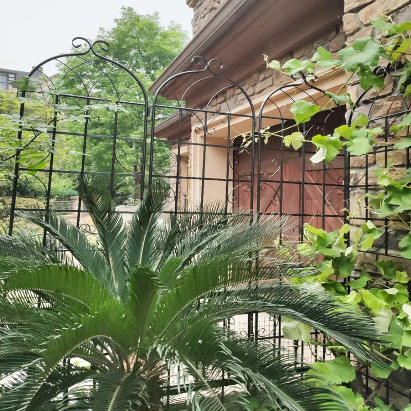 Paquet de 2, treillis de jardin en métal antirouille 86,7 po x 19,7 po, porte-fleurs d'extérieur, noir, facile à assembler, matériau solide, paquet de 86,7 po x 19,7 po, support pour plantes, assemblage sans effort