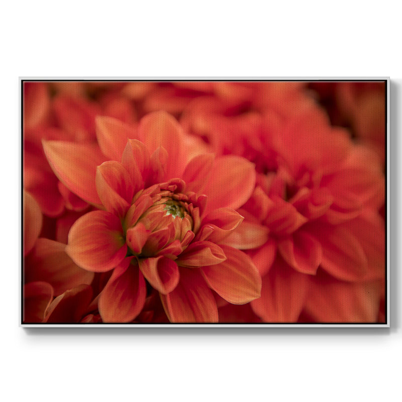 Printemps, impression sur toile tendue, H 37 po x l 25 po x P 2 po, Cadre blanc