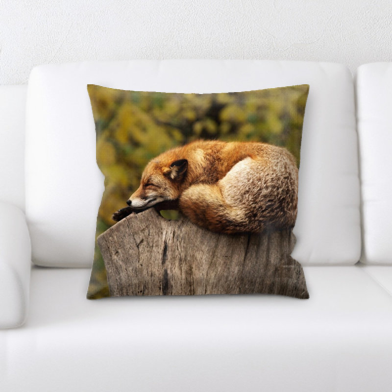 Coussin de fox
