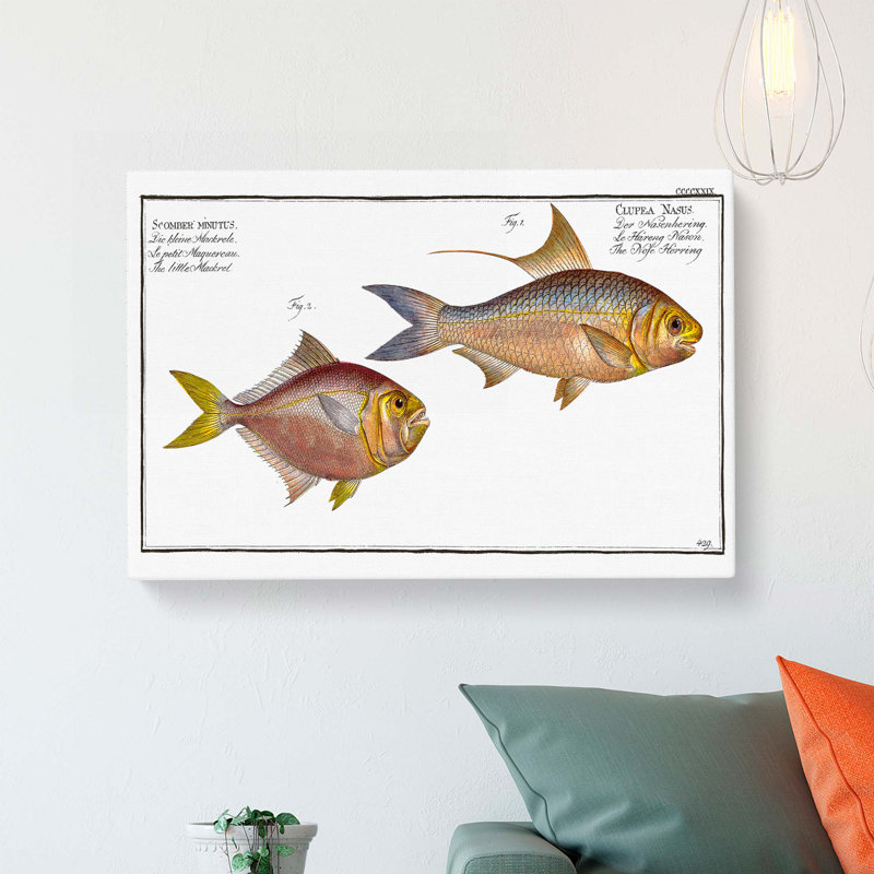 Mackerel & Herring Fish by M.E. Bloch - Wrapped Canvas, 35cm H x 50cm W x 3cm D