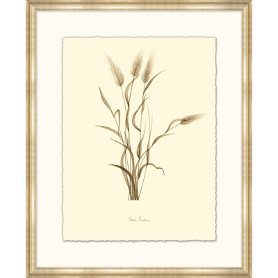 Hairs Tail - Peinture encadrée sur papier