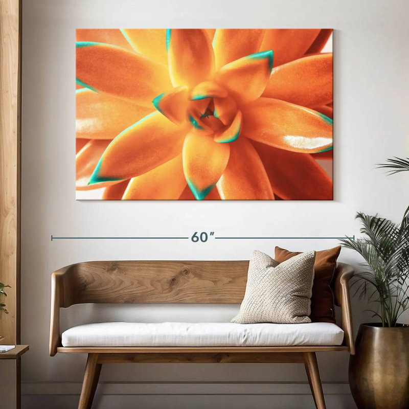 Plante grasse orange Harnek, H 34 po x l 51 po