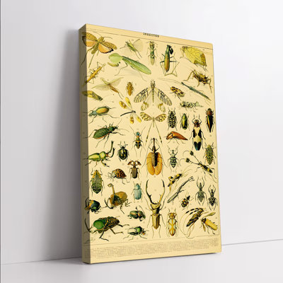 1 pièce d'art mural encadré, insectes rétro, art mural sur toile, reproduction botanique, décor rétro d'entomologie pour le salon, la chambre à coucher, le bureau, la décoration sur le thème de la nature, cadeau unique pour les amateurs de punaises et les amateurs d'art