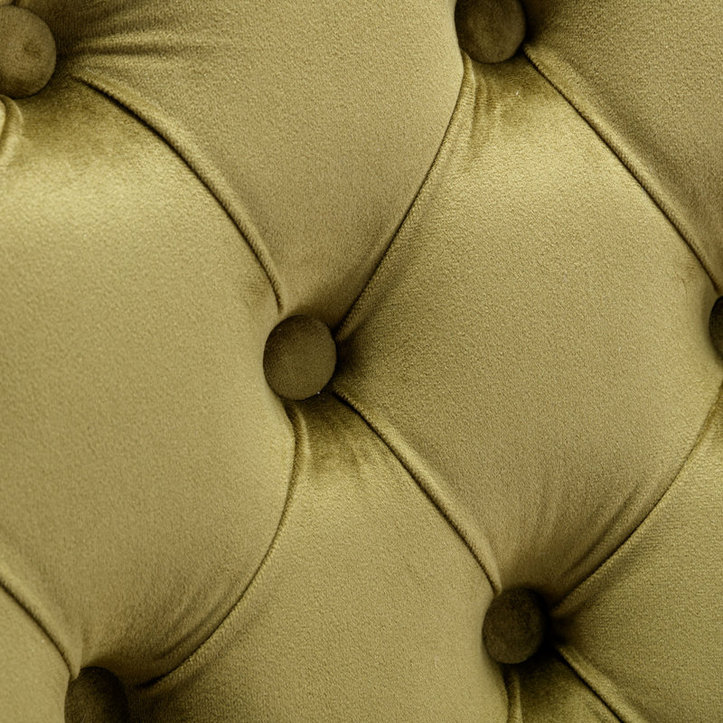 Chaises capitonnées Allena , Velours vert fruit, Noir, 2