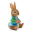 Peter Rabbit tenant une carotte