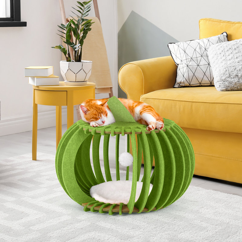 Lit pour chat en forme de citrouille pour chat, Vert