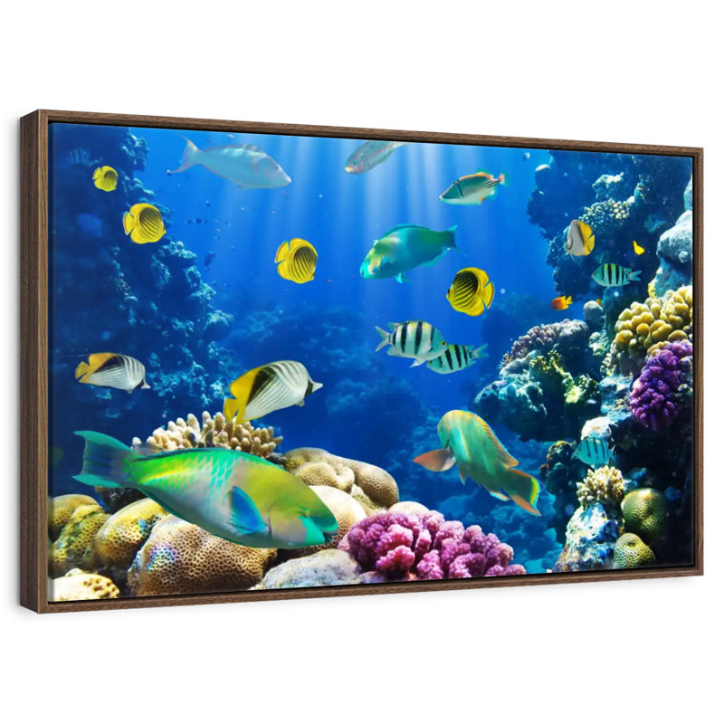 Underwater Sea Creatures, 13" X 9", Floating Frame Walnut