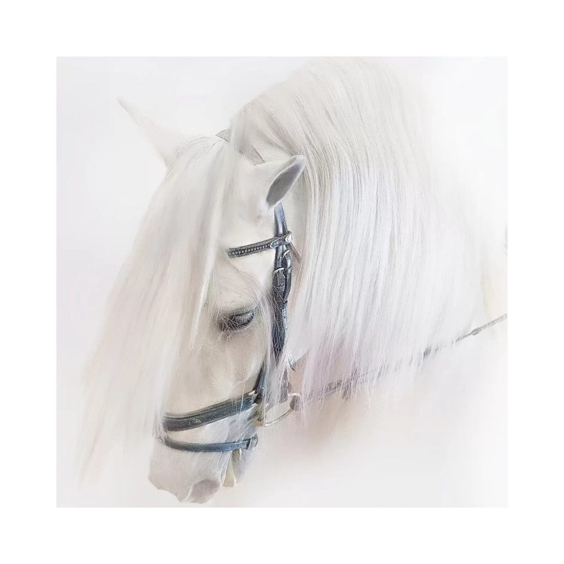 Purebred III by Ozana Sturgeon - Wrapped Canvas Print, 30.48 cm H x 30.48 cm W